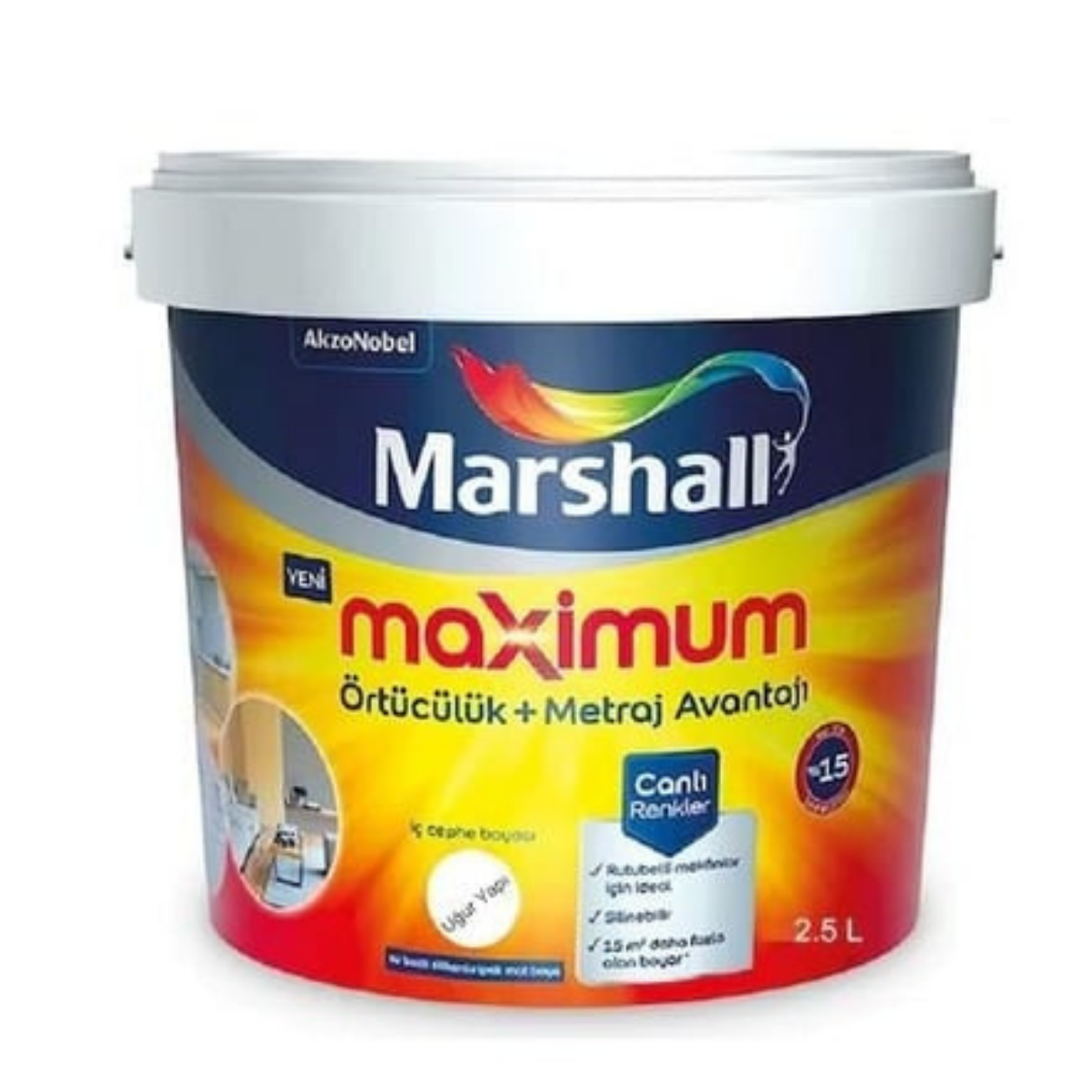 MARSHALL MAX. SİL. İPEK MAT BW BAZ 2,5 L