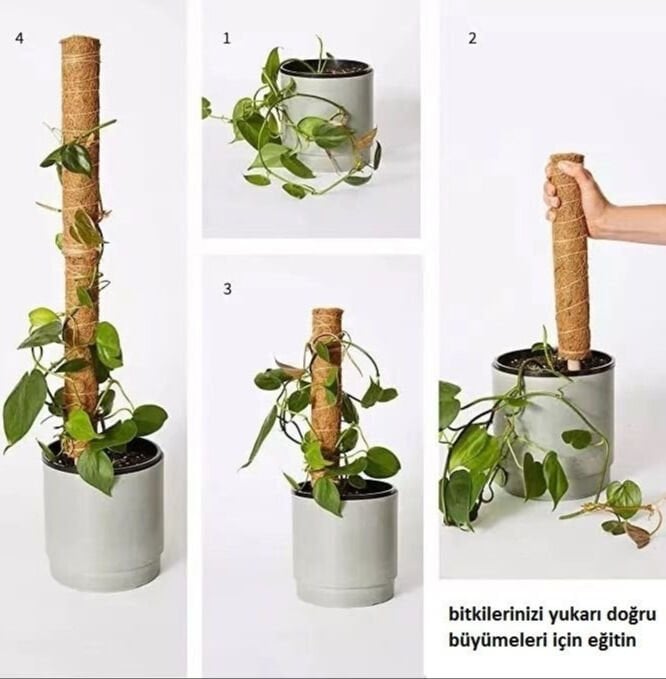 GARDENER KOKO DESTEK ÇUBUĞU 110 CM KKS110