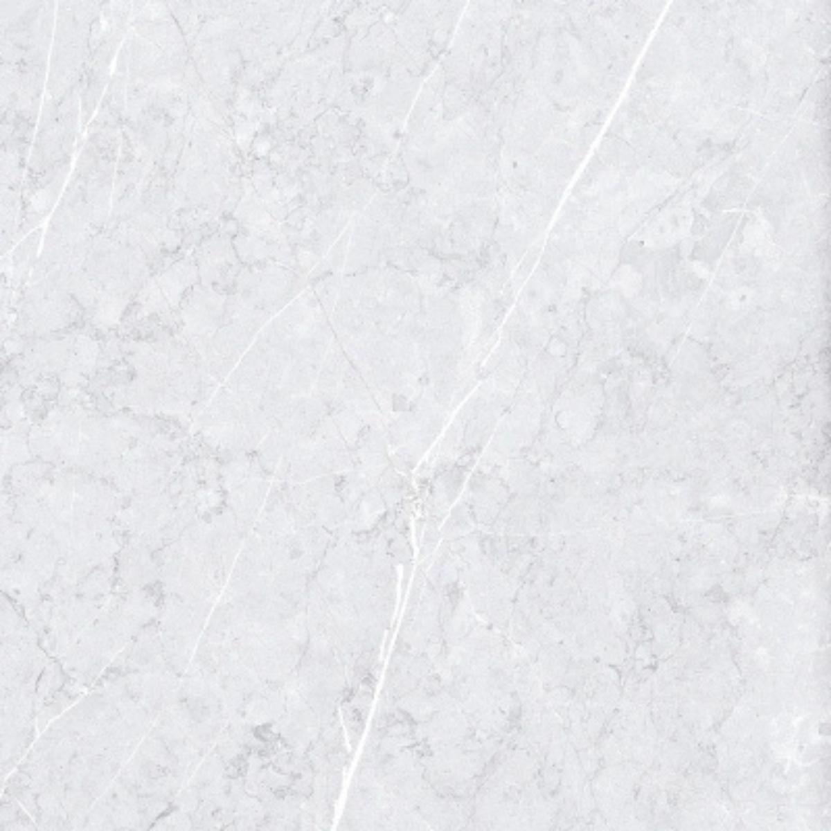 60X60 PALERMO L.GRAY REC