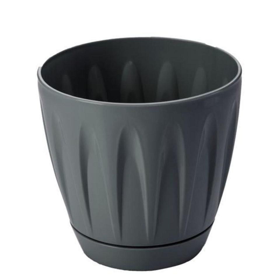 SAKSI PAPATYA NO:3 ANTRASİT3LT