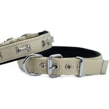 KÖPEK TASMASI 40 CM