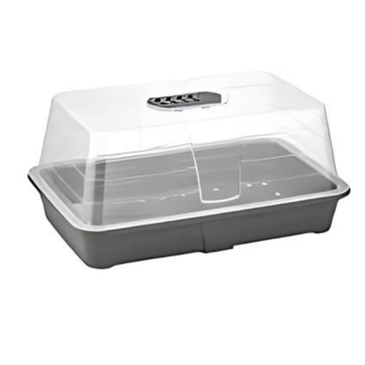 SAKSI FİDE YETİŞTİRME FANUS NO:2