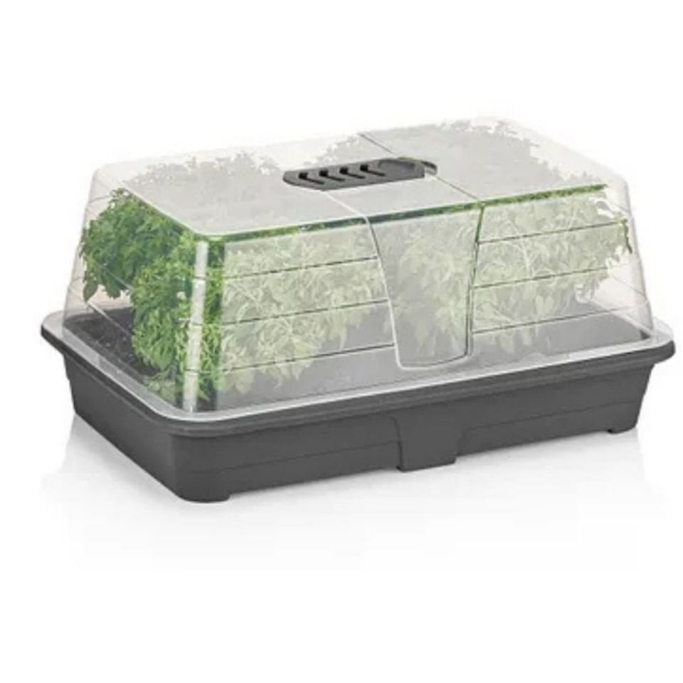 SAKSI FİDE YETİŞTİRME FANUS NO:2