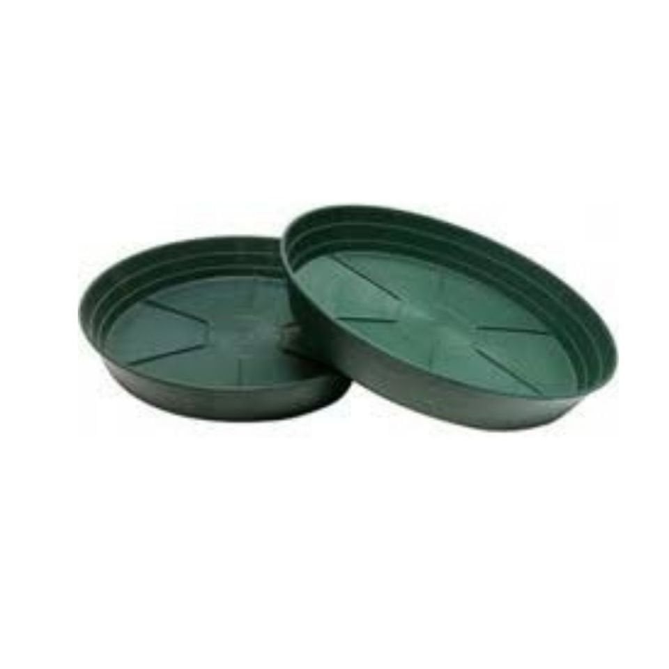 SAKSI YALI TABAK NO:4 YEŞİL