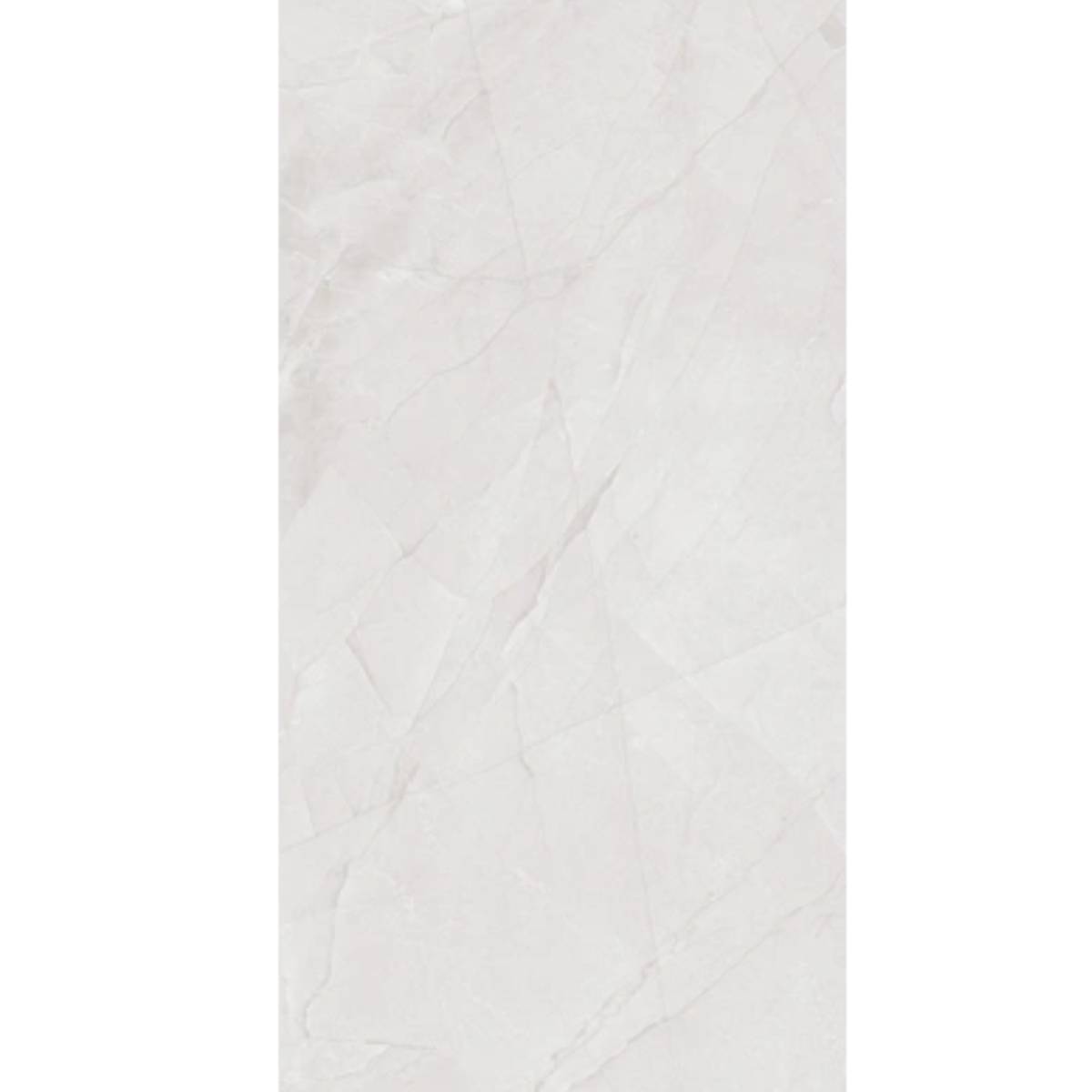 30X60 QUANTUM BONE