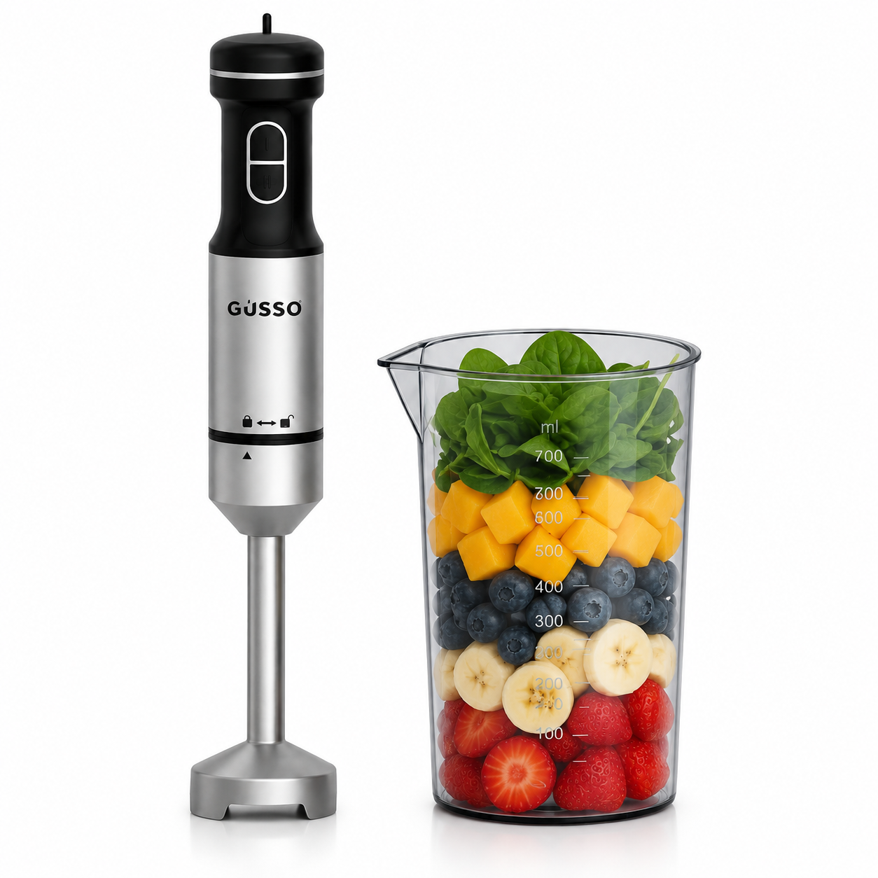 GOSSO ÖLÇÜ KAPLI ÇUBUK BLENDER GG-2404