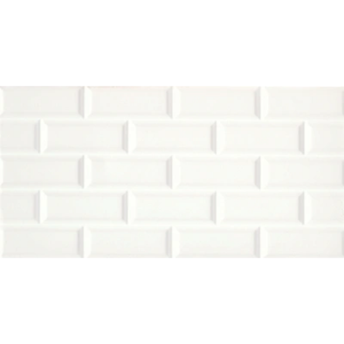 30x60 OSCAR WHITE