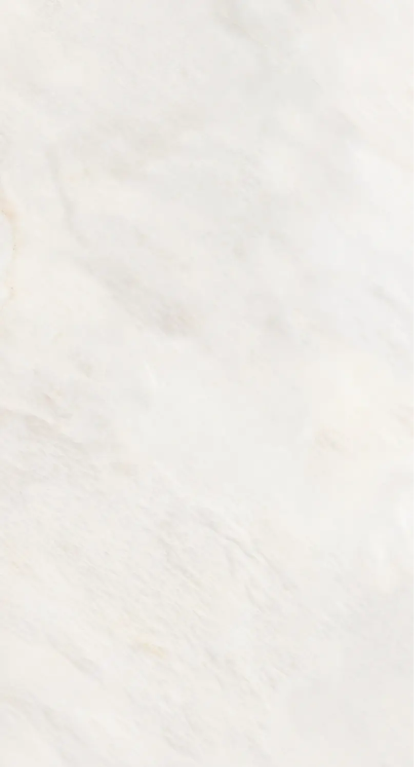 30X60 HOMEROS BONE