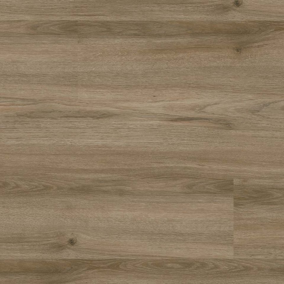 ÇAMSAN ILGAZ MEŞE KLASİK 31.SINIF 8 MM 1,85 M2