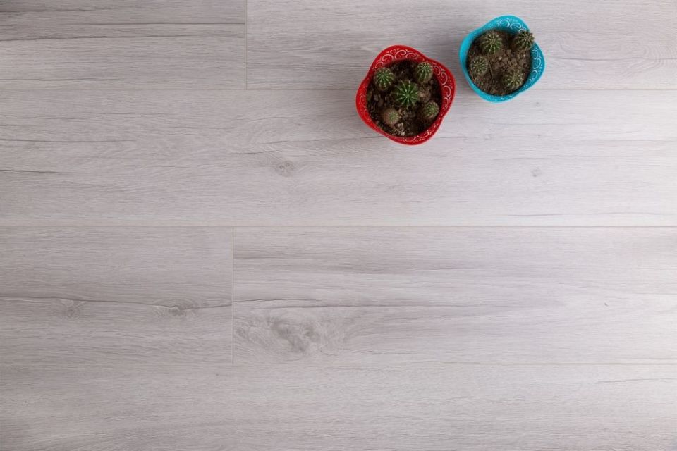 ÇAMSAN KANYON MEŞE MODERN 32. SINIF 8 MM 1,85 M2