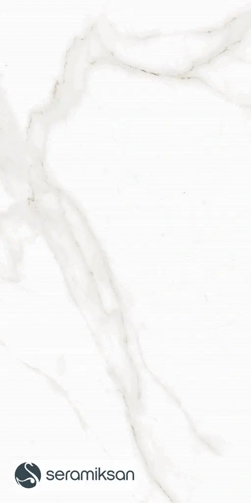 30X60 SNOW