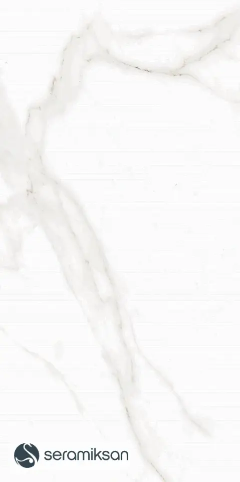 30X60 SNOW