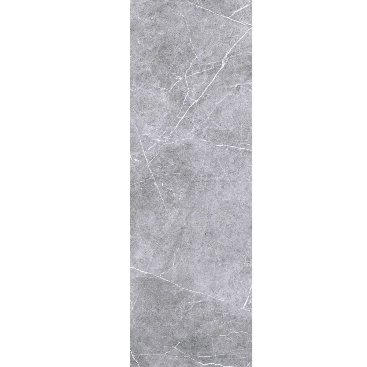 30X90 MOON MATT GRAY FLORAL RELIE