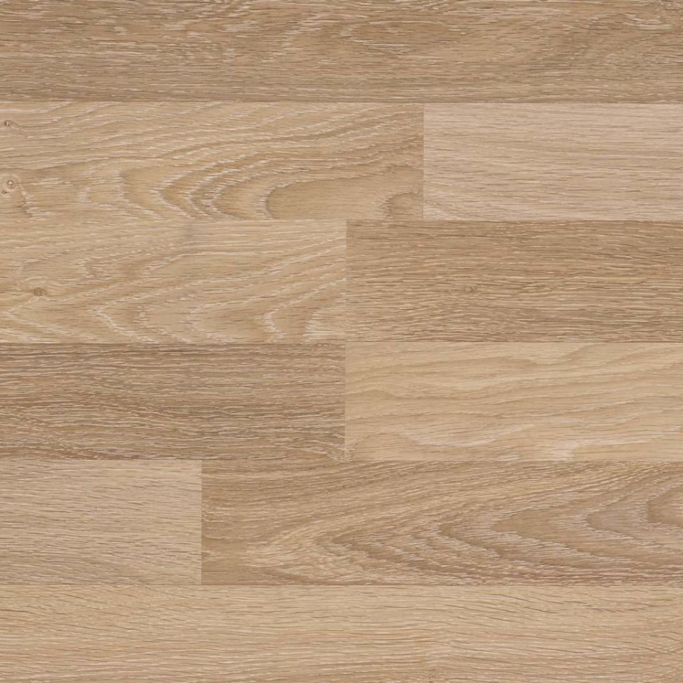 ÇAMSAN GÜMÜŞ MEŞE KLASİK 31.SINIF 1.KALİTE