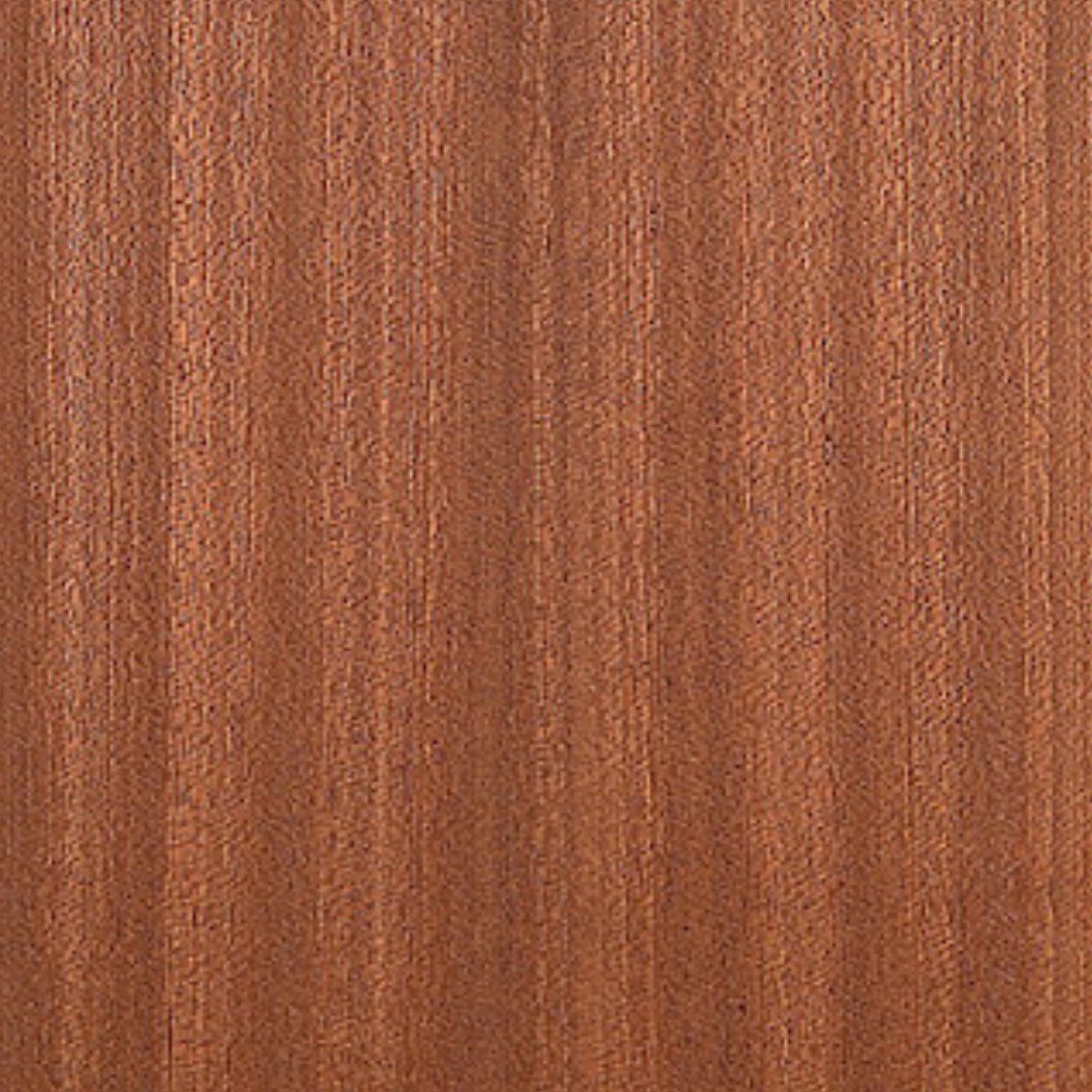 MDF 8MM KAPLAMA SAPELLİ-ASTAR SAPELLİ