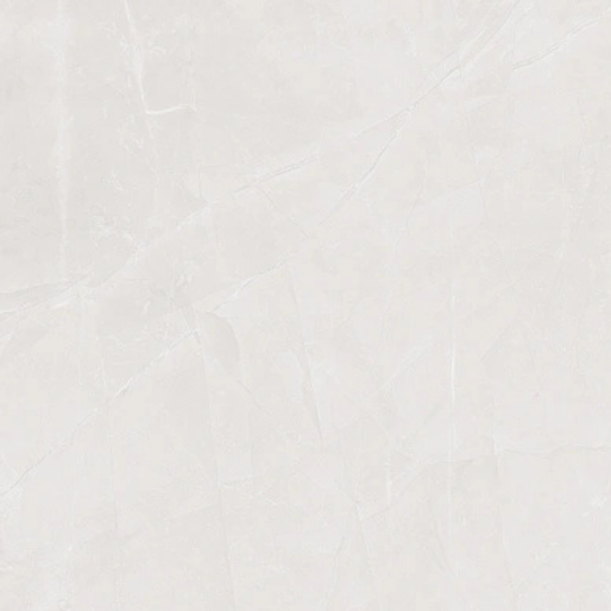 50X50 QUANTUM KEMİK END.