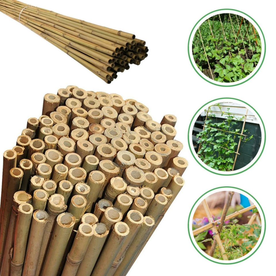 BAMBU BİTKİ  DESTEK ÇUBUĞU 60CM 163702