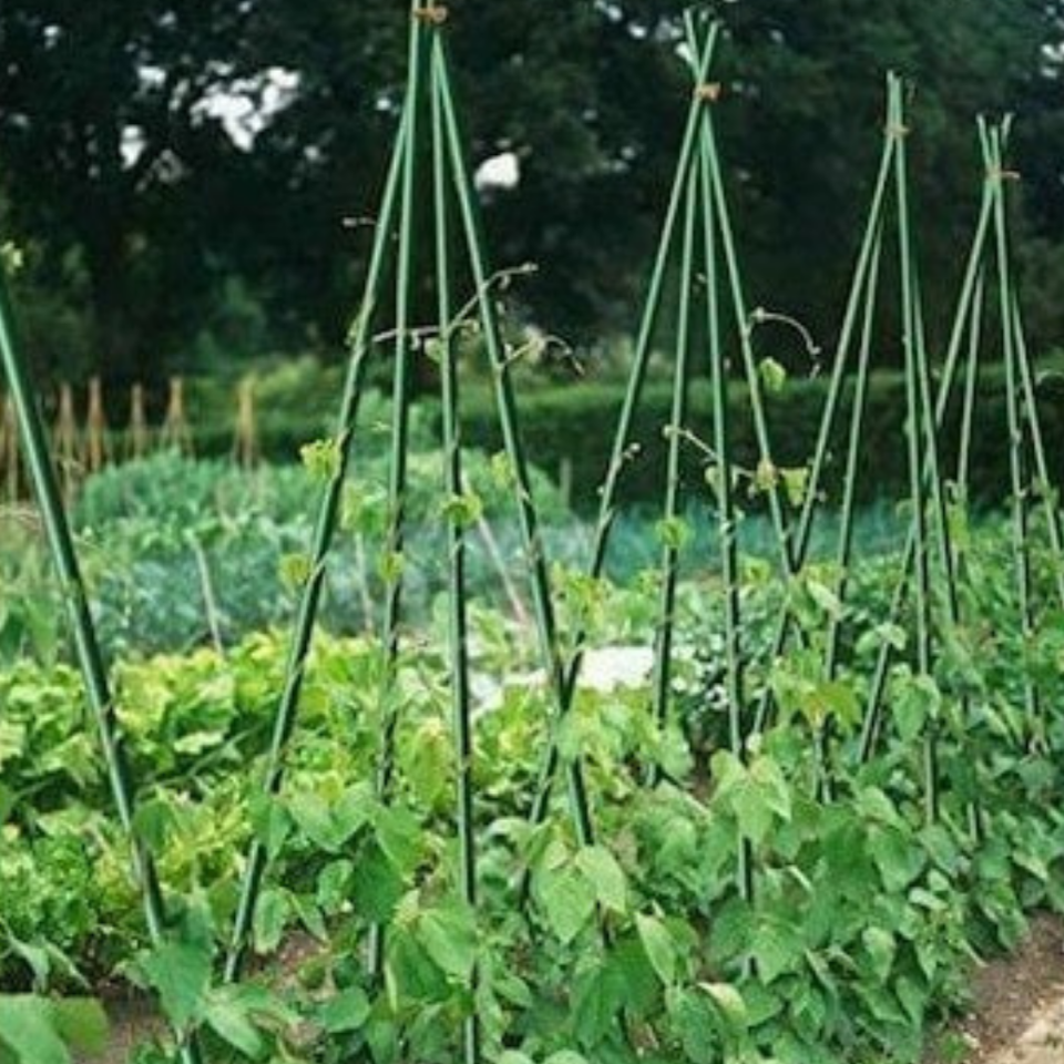 PVC BİTKİ DESTEK ÇUBUĞU 150 CM CSN-11-150