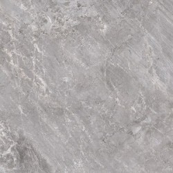 50X50 FARALYA D.GRAY  END.