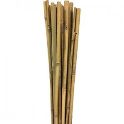 BAMBU BİTKİ DESTEK ÇUBUĞU  210 CM 63722